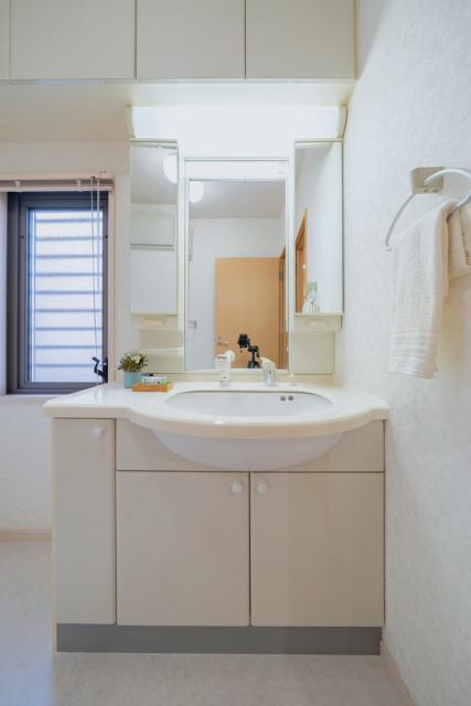 洗面台・洗面所  写真撮影日：2025-11-20