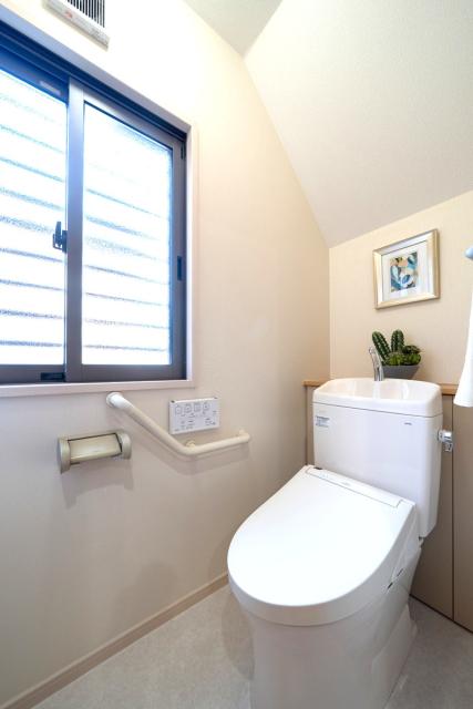 トイレ  写真撮影日：2025-11-20