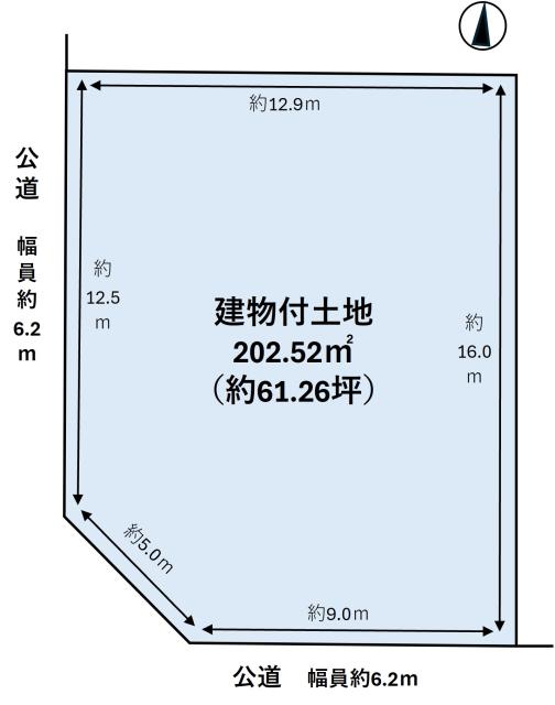 その他  写真撮影日：2025-12-23