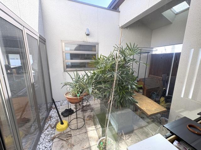 庭  写真撮影日：2026-03-06