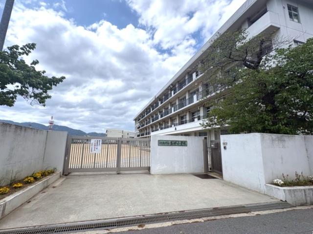 高田小学校 1900m 写真撮影日：2026-04-23