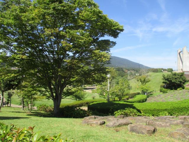 平群北公園 580m 写真撮影日：2026-05-09