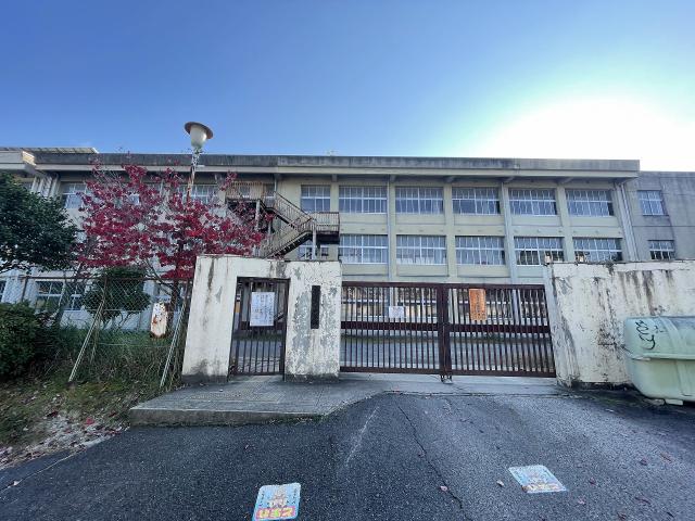 平群中学校 2100m 写真撮影日：2026-05-09
