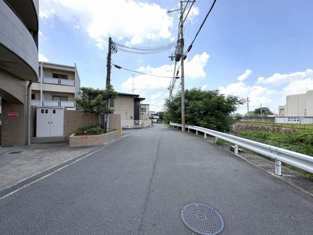 その他  写真撮影日：2026-07-24