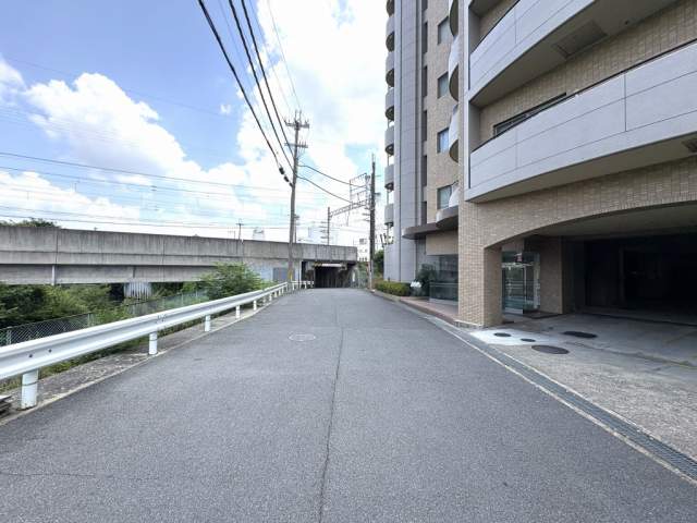 その他  写真撮影日：2026-07-24