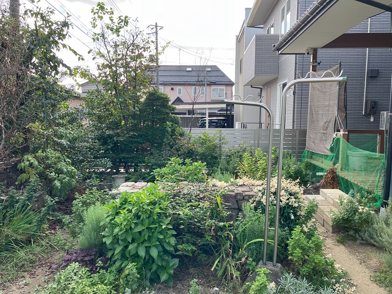 庭 写真撮影日：10/1/25, 12:00 AM