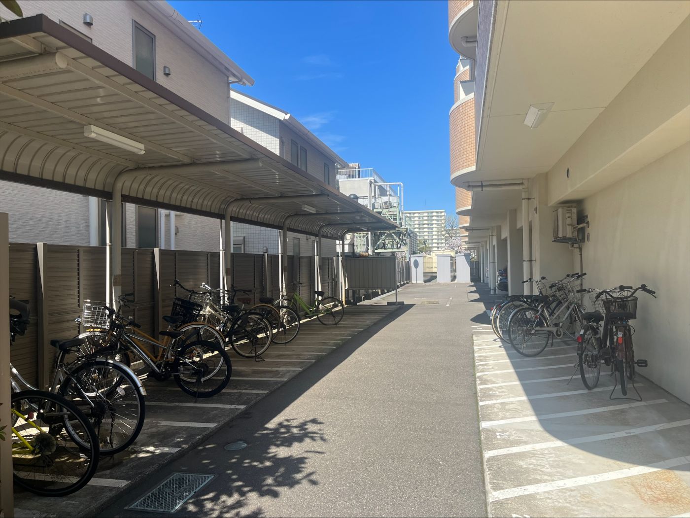 駐輪場 写真撮影日：4/6/26, 12:00 AM