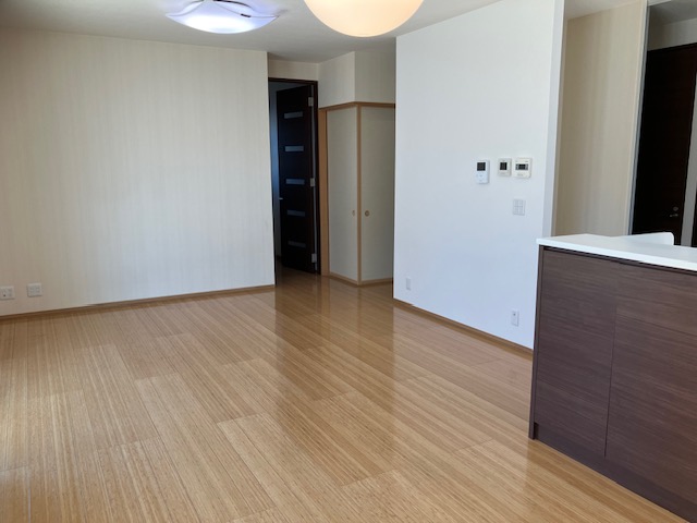 リビング 写真撮影日：6/5/25, 12:00 AM
