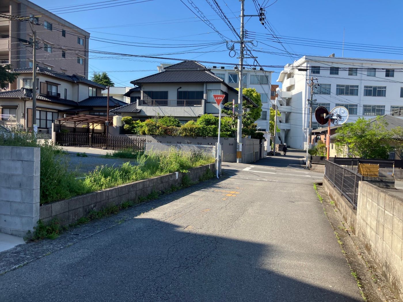 現地写真 写真撮影日：4/1/25, 12:00 AM