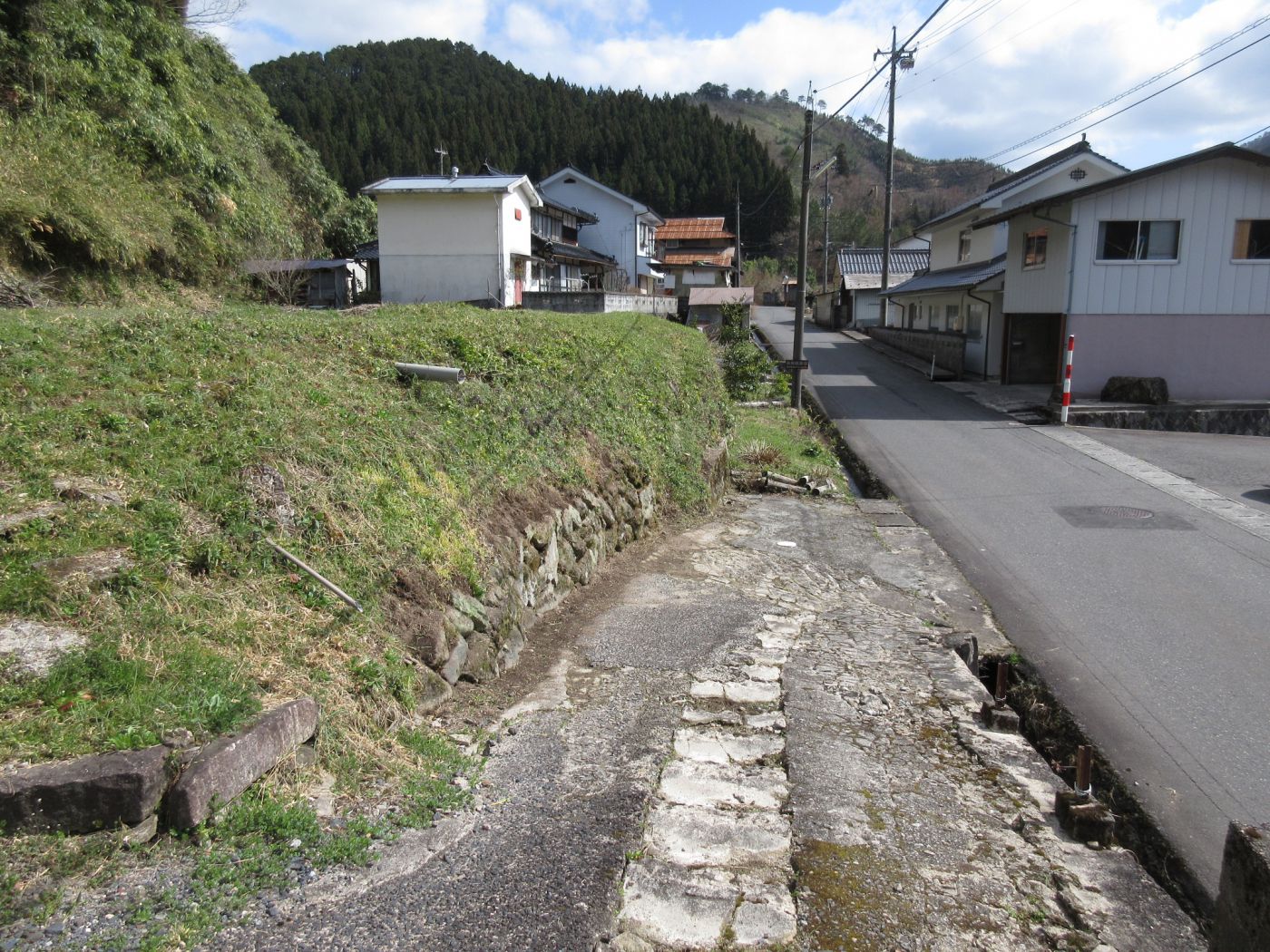 現地 写真撮影日：6/7/23, 12:00 AM
