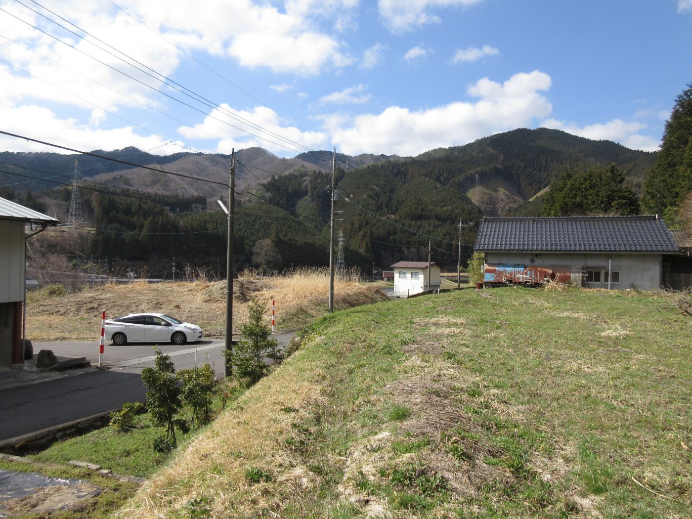 現地 写真撮影日：6/7/23, 12:00 AM