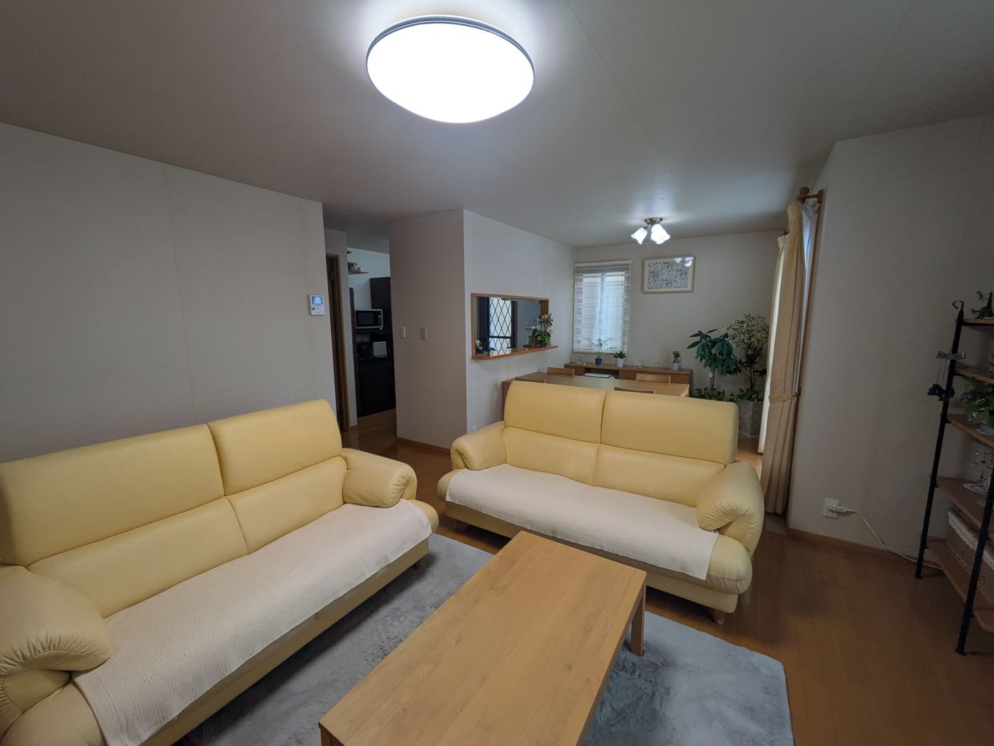 室内 写真撮影日：6/1/25, 12:00 AM