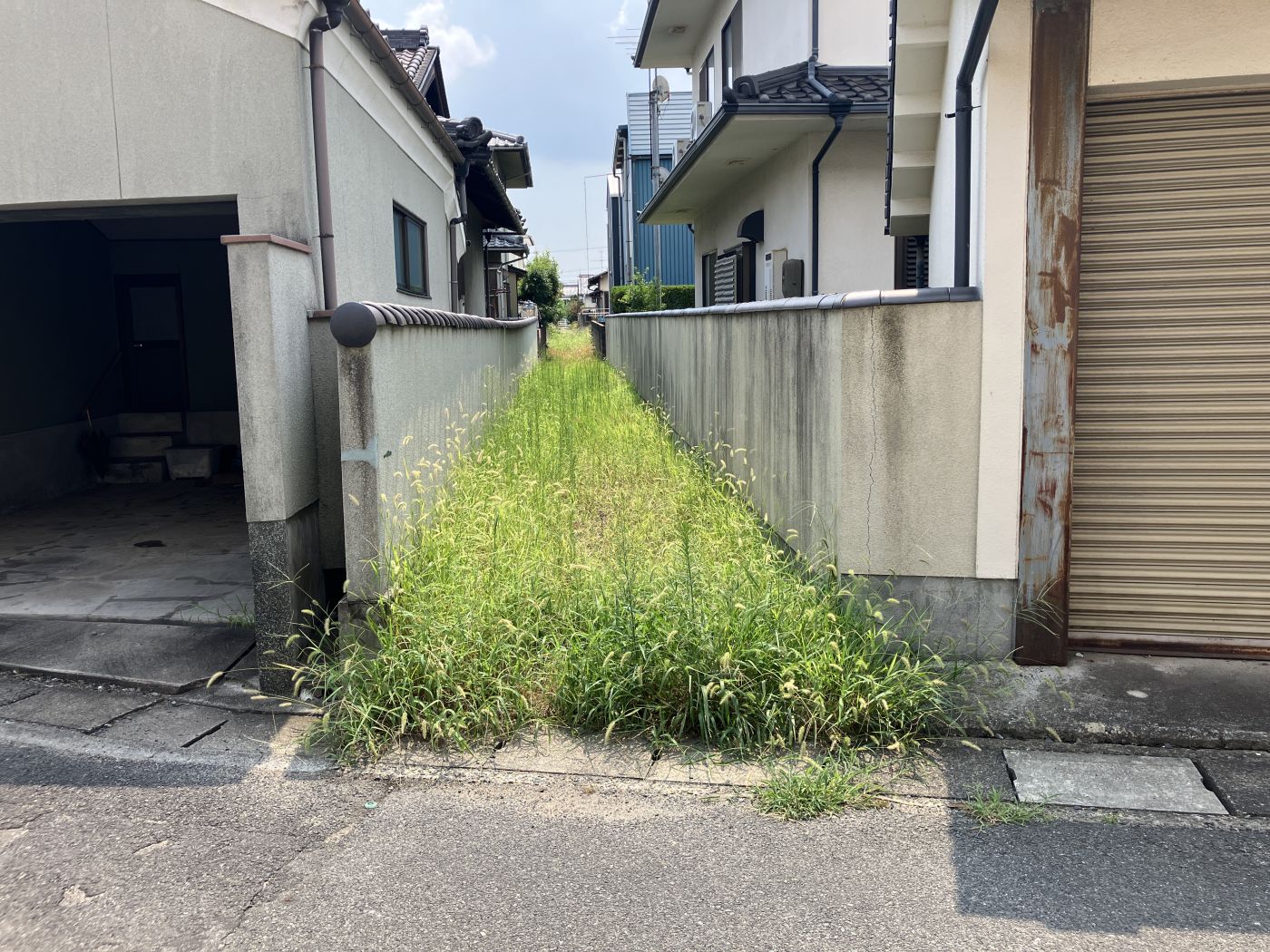 道路　西