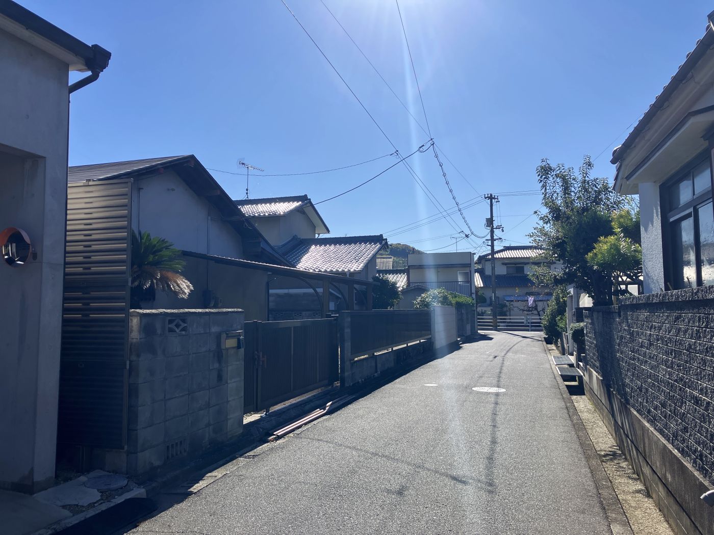 道路　北から 写真撮影日：11/22/25, 12:00 AM