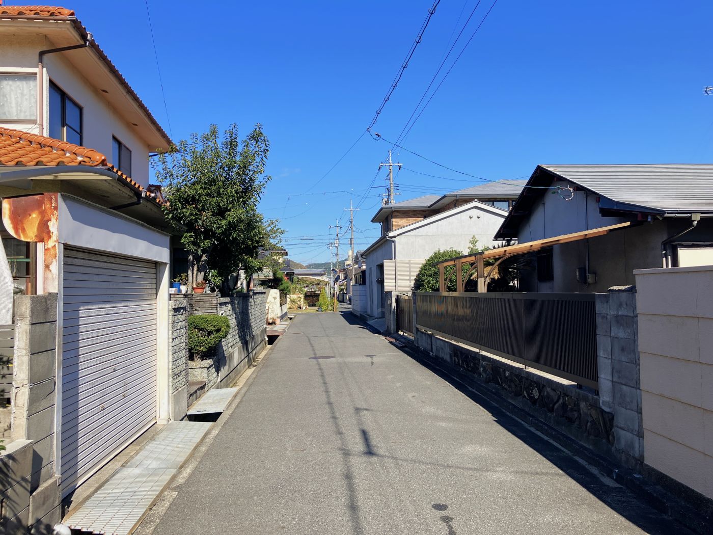 道路　南から 写真撮影日：11/22/25, 12:00 AM