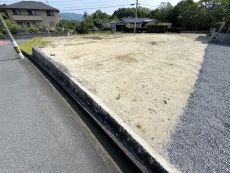 現地写真