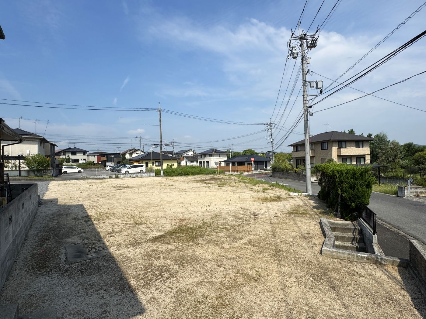 現地写真
