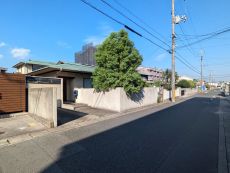 現地写真