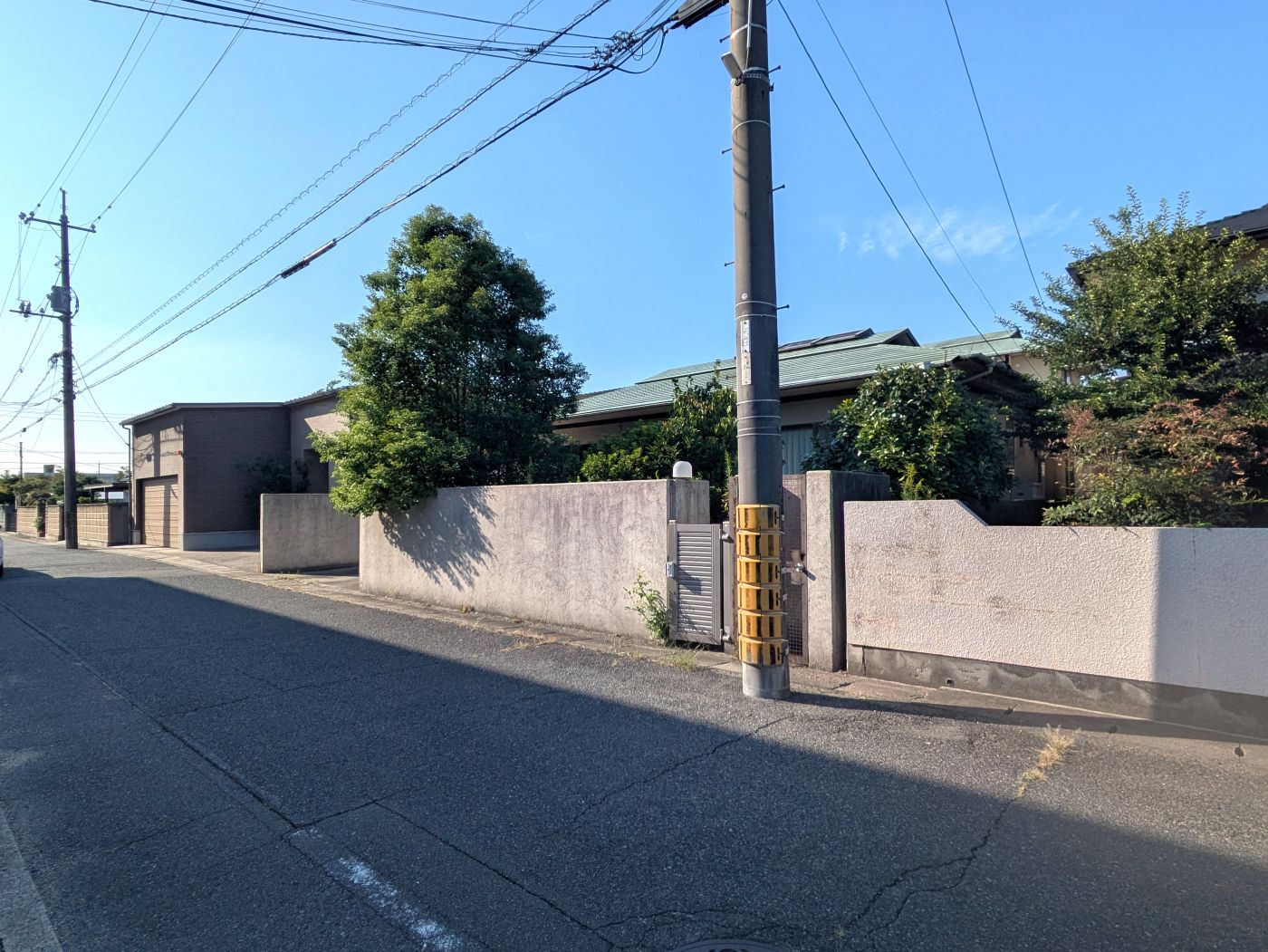 現地写真