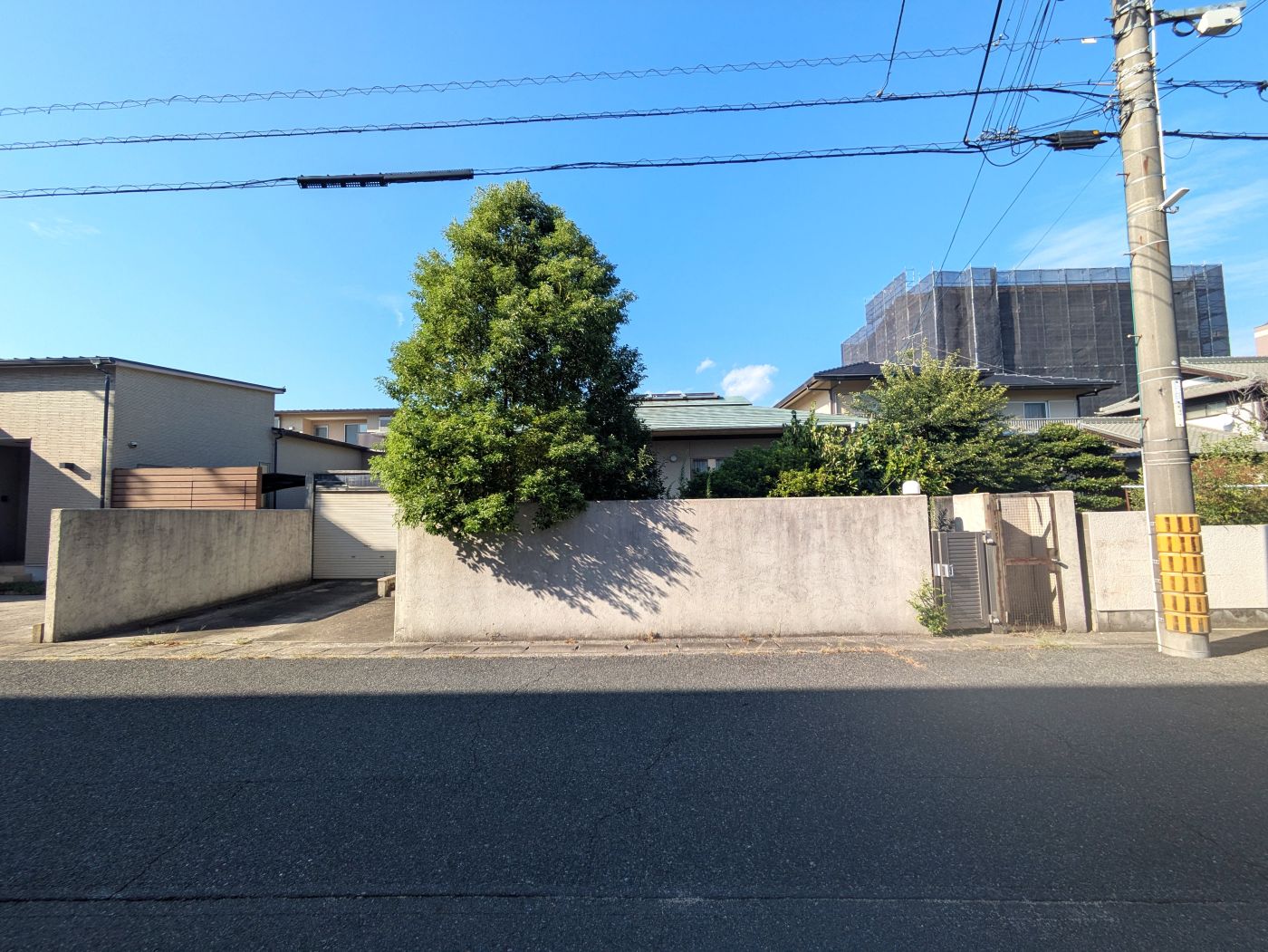 現地写真