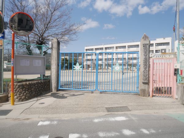 箕面市立箕面小学校 260m 写真撮影日：2025-03-24 