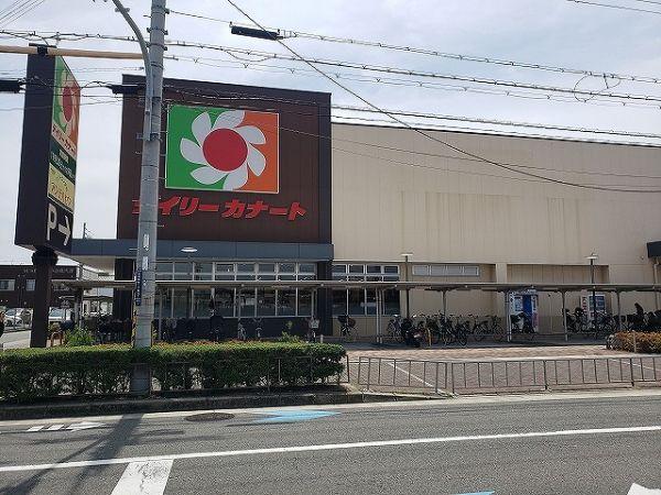 デイリーカナート北助松店　 900m 写真撮影日：2024-06-08