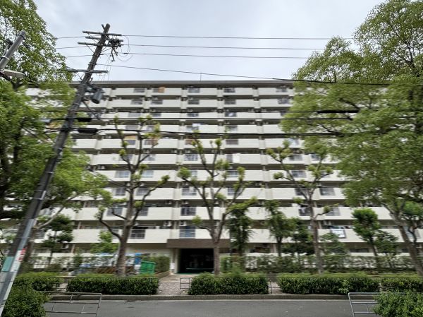 現地外観写真  写真撮影日：2024-11-03