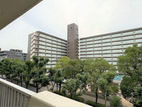 住戸からの眺望写真  写真撮影日：2024-11-03