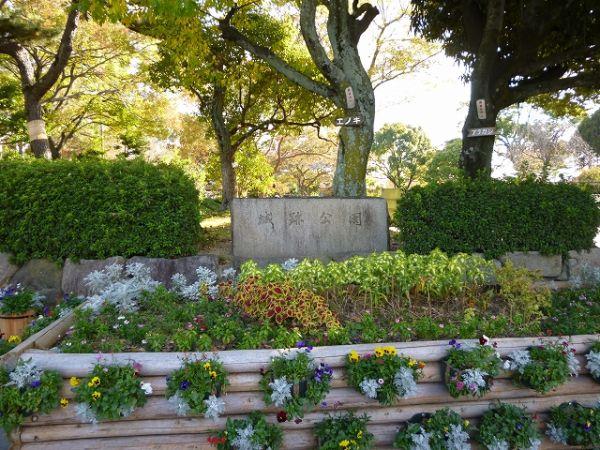 城跡公園 500m 写真撮影日：2024-12-14