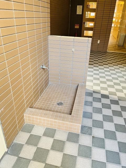 その他  写真撮影日：2025-06-27