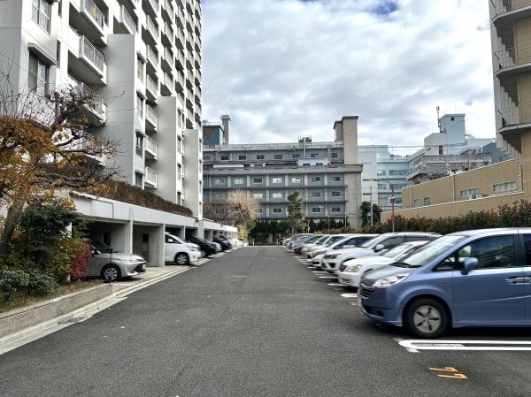 駐車場(共用設備)  写真撮影日：2024-12-26