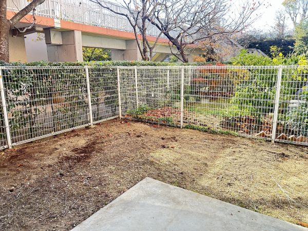 庭  写真撮影日：2024-12-22