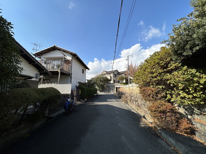 前面道路含む現地土地 写真撮影日：1/27/25, 12:00 AM