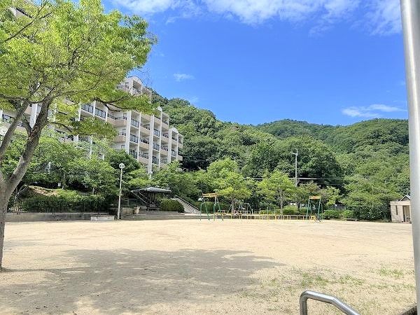 山手公園 290m 写真撮影日：2024-07-26 