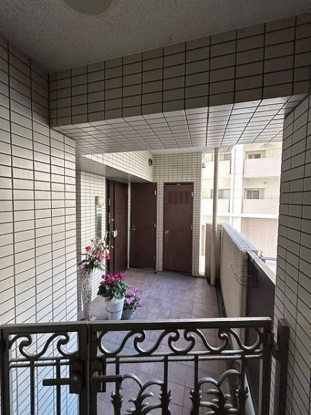 その他現地  写真撮影日：2025-03-09