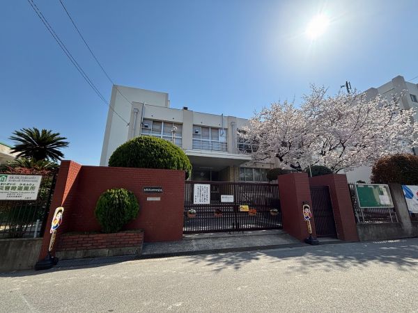 大阪市立放出中学校 800m 写真撮影日：2025-04-11 