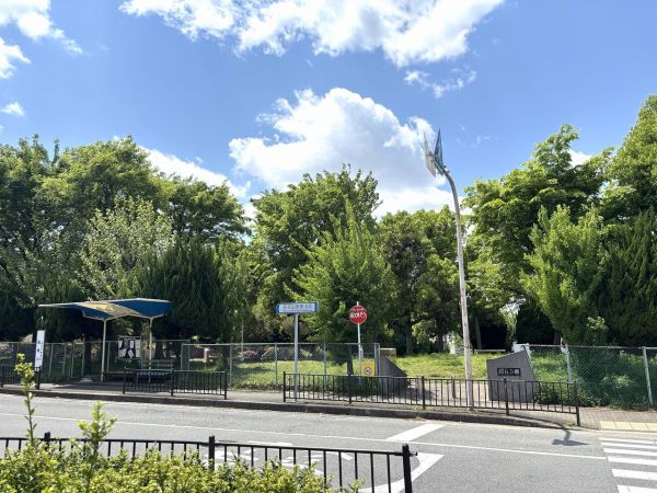 緑丘公園 230m 写真撮影日：2025-05-01 