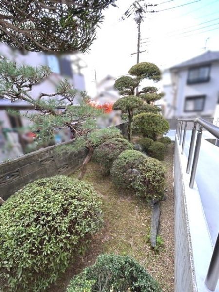 庭  写真撮影日：2023-11-24