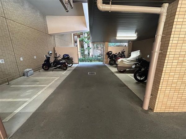 その他現地  写真撮影日：2025-04-17