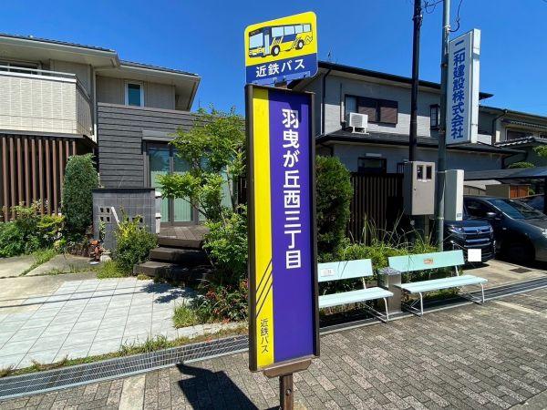 その他  写真撮影日：2024-07-06