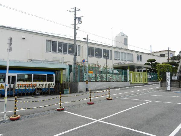 白鳩羽曳野幼稚園 800m 写真撮影日：2024-07-06