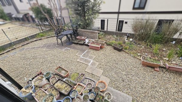 庭  写真撮影日：2025-03-02