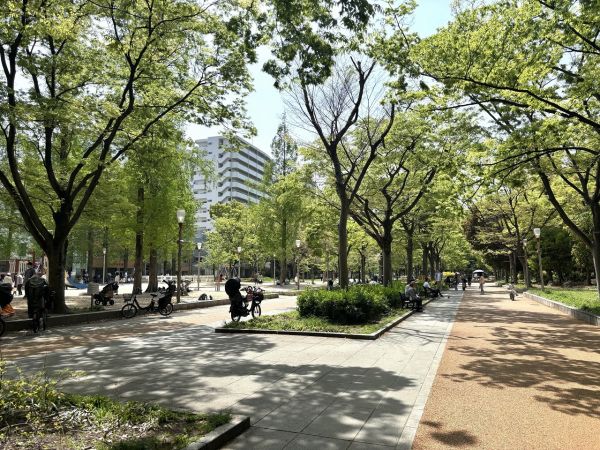 靭公園 240m 写真撮影日：2025-04-21 