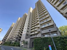 現地外観写真  写真撮影日：2025-05-15