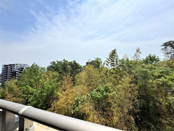 住戸からの眺望写真  写真撮影日：2025-05-15
