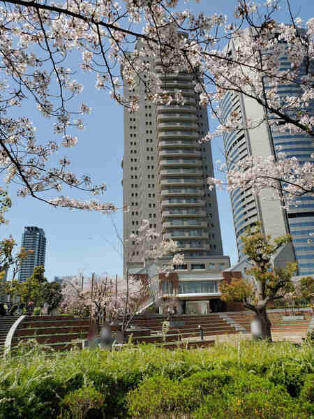 総戸数294戸、31階建29階部分。全居室が南向きバルコニーに面し陽当り・通風・眺望良好な住戸です。