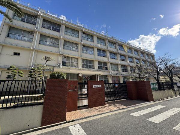 大阪市立井高野中学校 770m 写真撮影日：2025-08-22