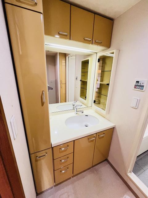 洗面台・洗面所  写真撮影日：2025-05-22