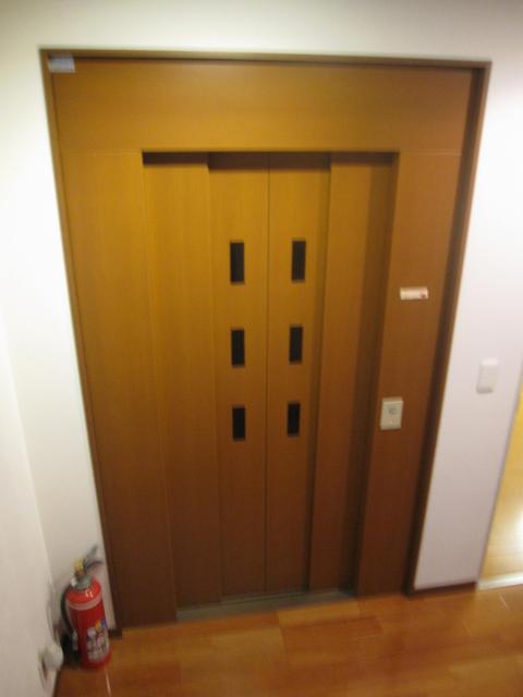 その他  写真撮影日：2025-05-26