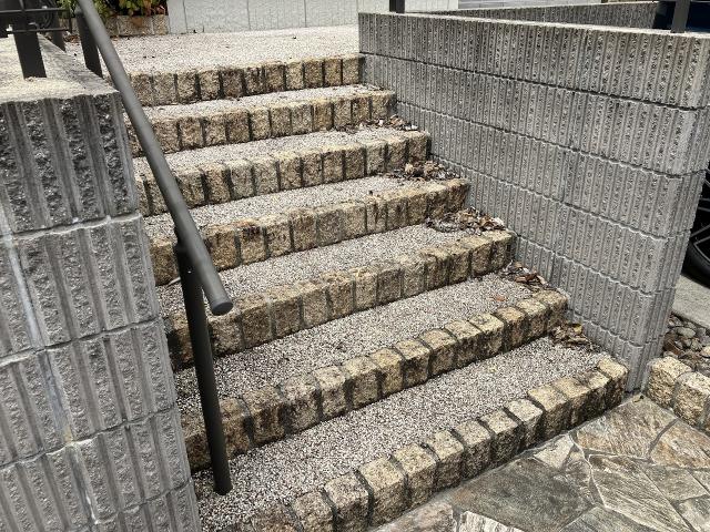その他現地  写真撮影日：2025-06-09